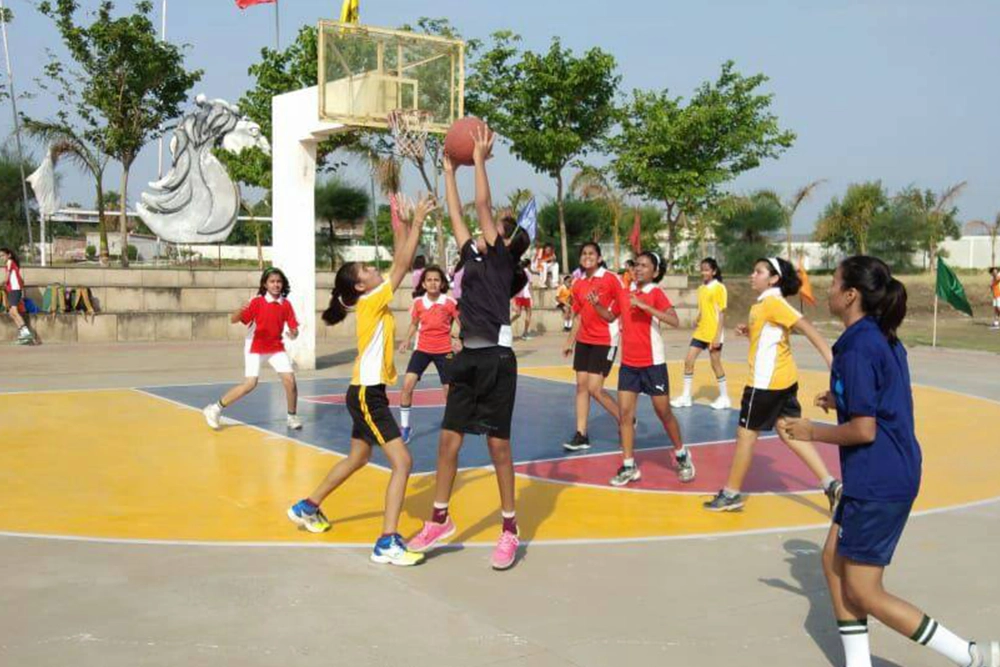 basketball side 13